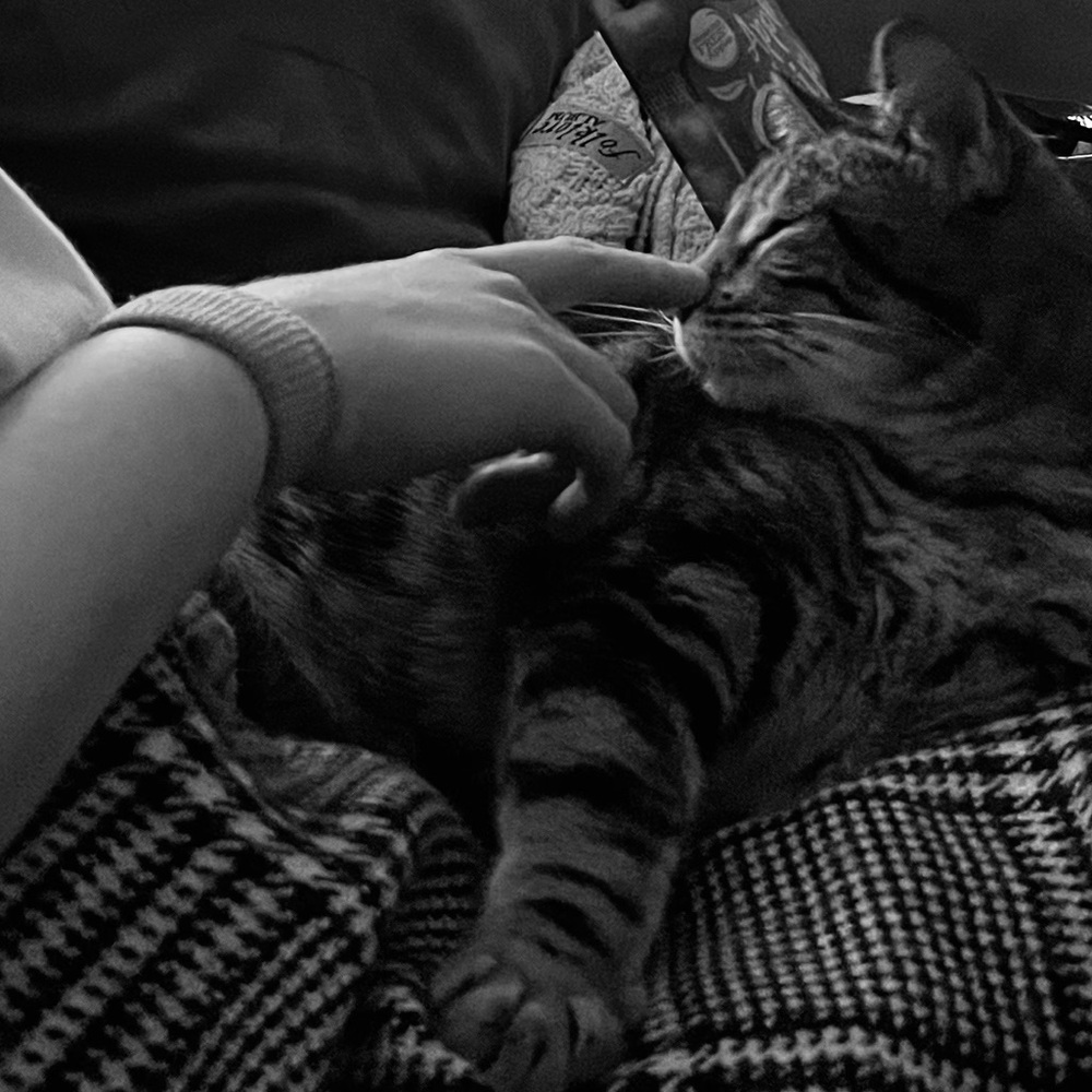 Meet your Posher, Christina